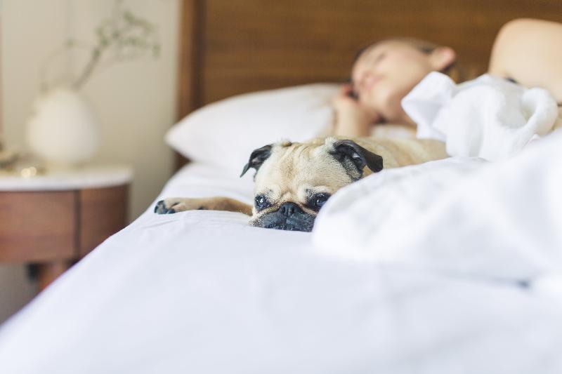 Sonesta Simply Suites Somerset Eksteriør bilde